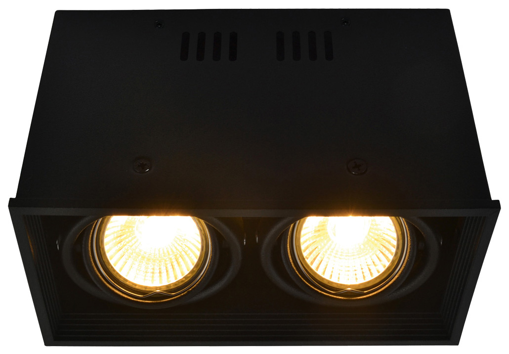 

Потолочный светильник Arte Lamp Cardani A5942PL-2BK, cardani A5942PL-2BK