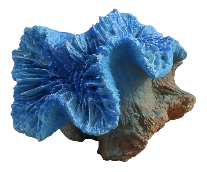 Искусственный коралл Laguna Грот Коралл, голубой, 8х7х7 см