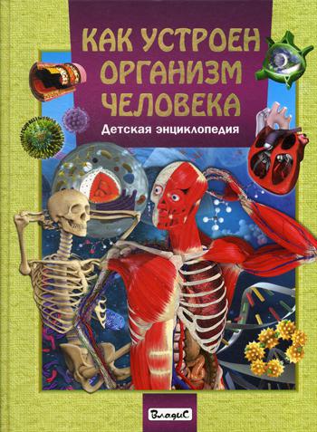 

Как устроен организм человека