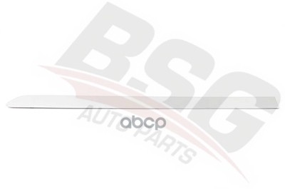 

Молдинг BSG BSG90924031