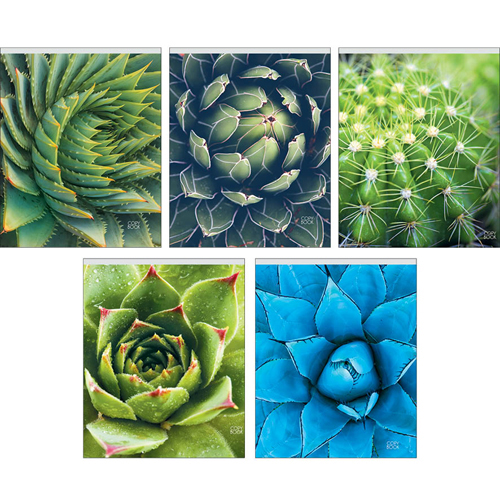 

Тетрадь Удивительные растения (А5, 48л, скрепка, клетка), ТК485764