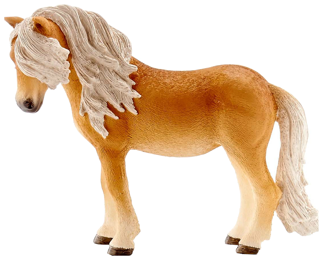 Купить Исландский пони, кобыла, Фигурка лошадки Schleich Исландский Пони Кобыла,