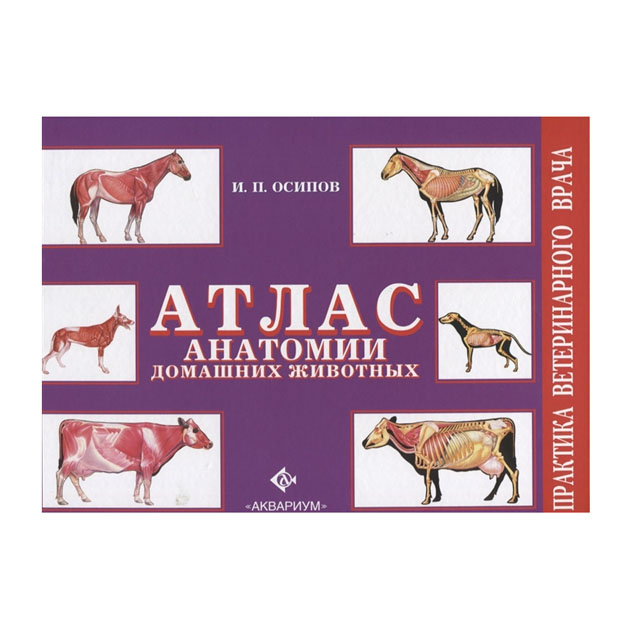 

Атлас анатомии домашних животных