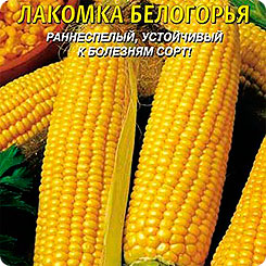

Семена Кукуруза сахарная Лакомка Белогорья, 5 г, Плазмас, 54641