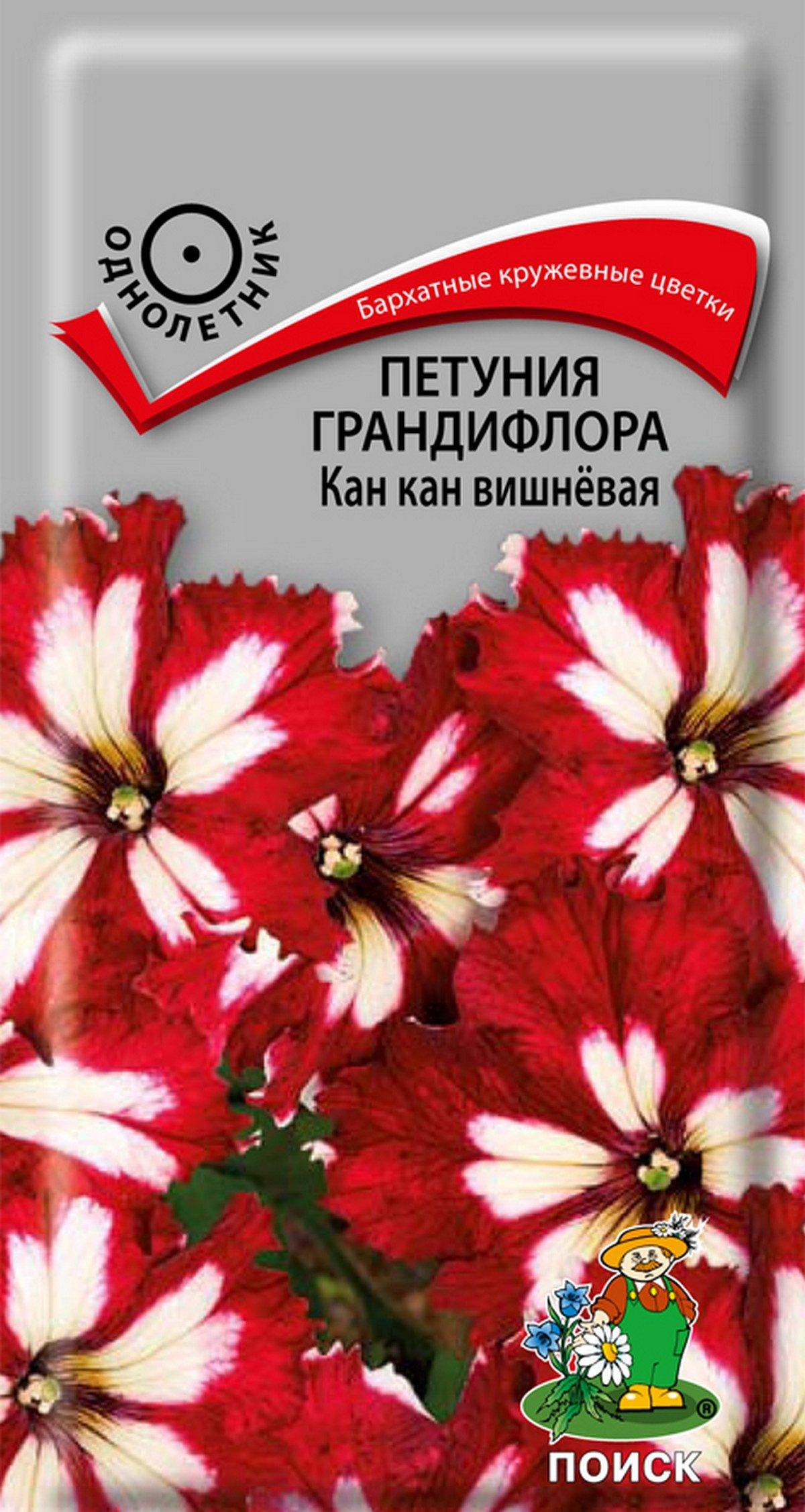

Семена петуния Поиск Кан Кан Вишневая 94504 1 уп.
