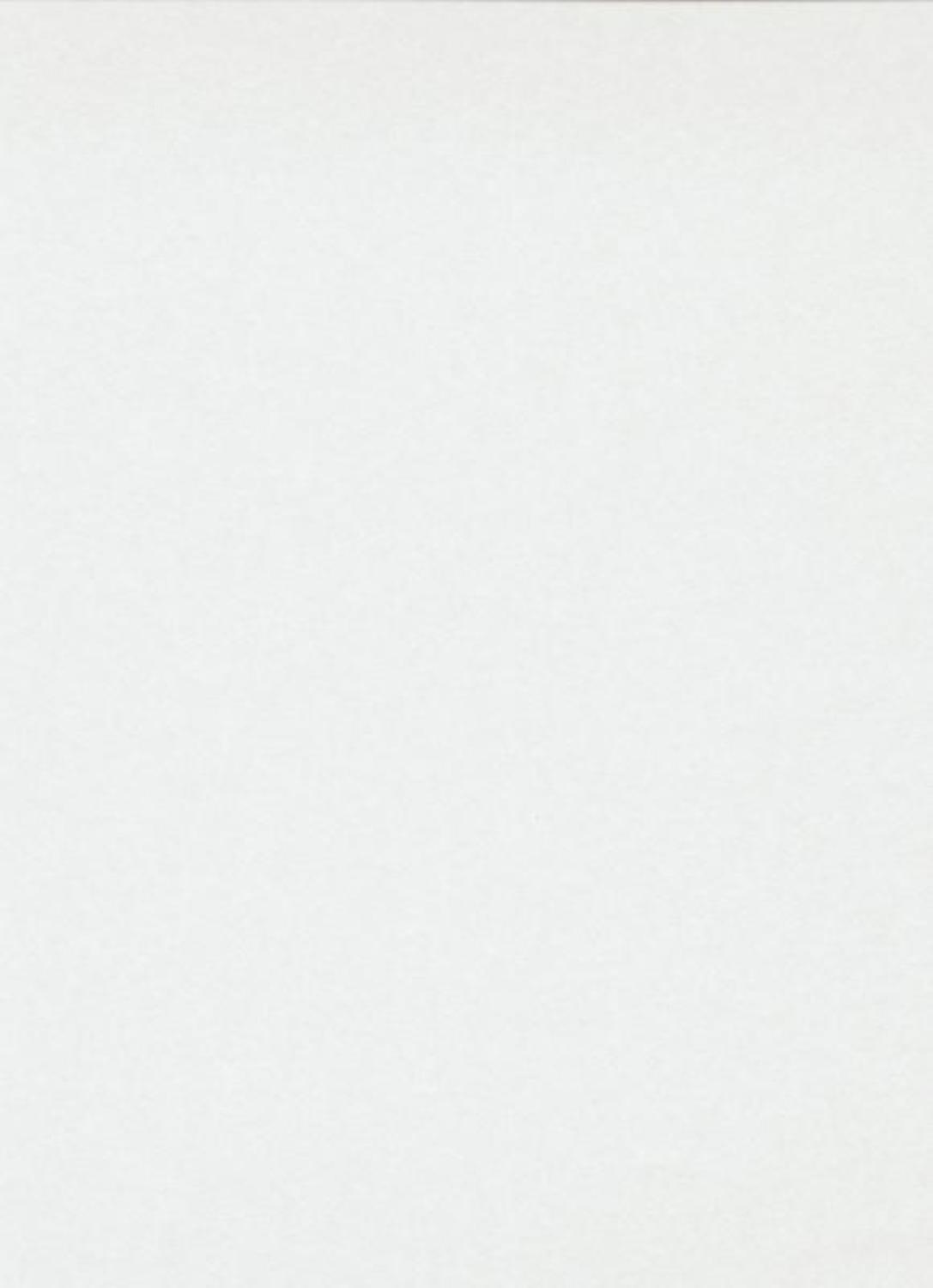 

Флизелиновые обои Erismann RollOver21 3333-1