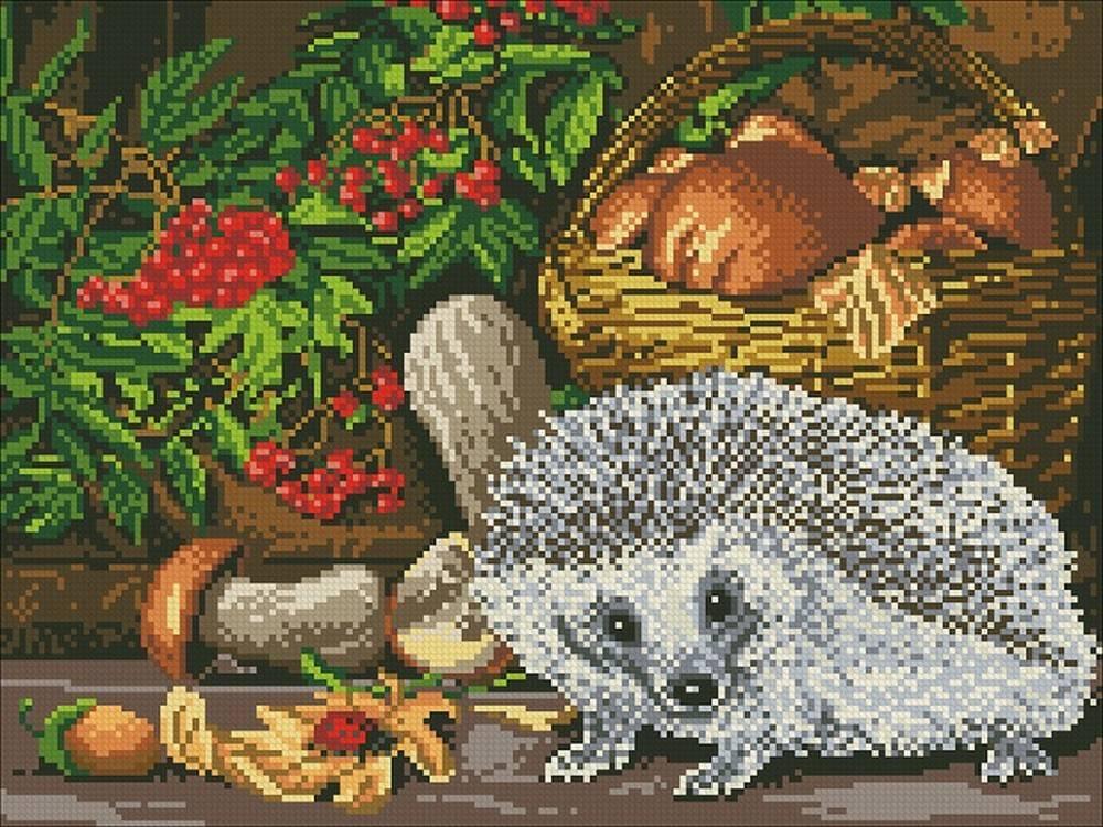 

Алмазная вышивка Паутинка Ежик 30x40 см, Ежик