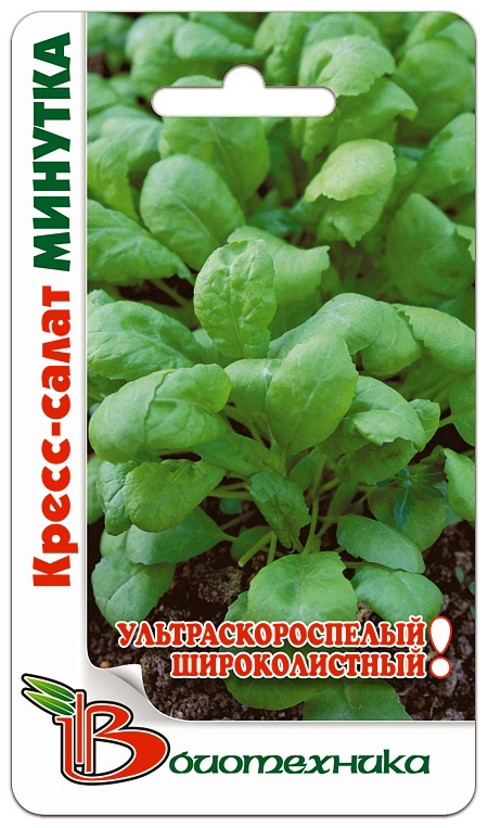 

Семена Кресс-салат Минутка (ультраскороспелый), 1 г Биотехника