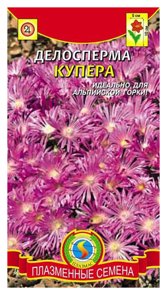 

Семена Делосперма Купера, 10 драже Плазмас