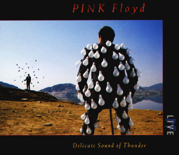 Pink Floyd Delicate Sound Of Thunder (2CD)