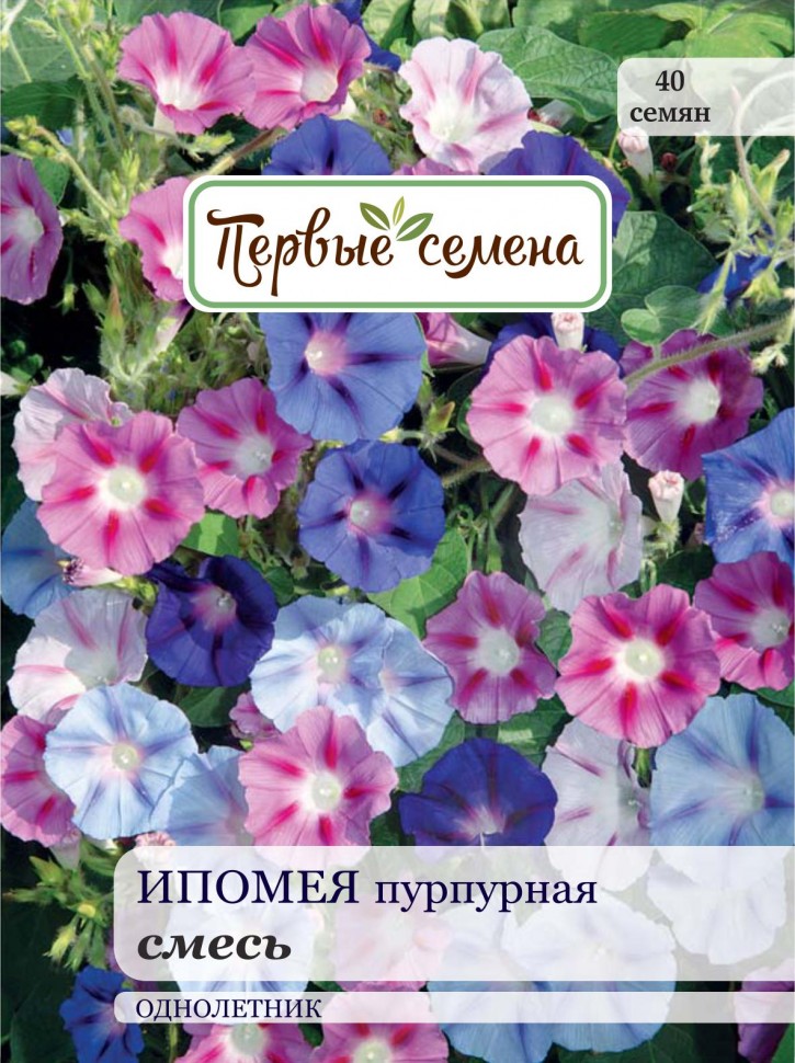 

Семена цветов Первые семена Ипомея пурпурная, смесь, 1 г