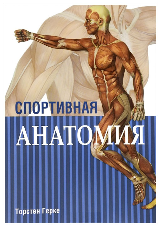 фото Книга спортивная анатомия попурри