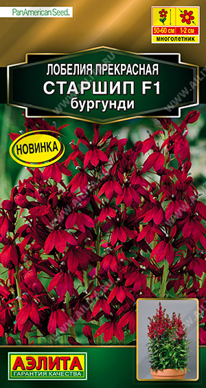

Семена лобелия Аэлита Старшип F1 11743 1 уп.
