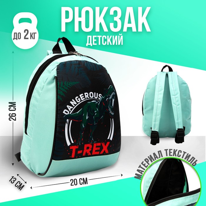 

Рюкзак «Динозавр», 20х13х26 см, отд на молнии, зелёный, NAZAMOK KIDS