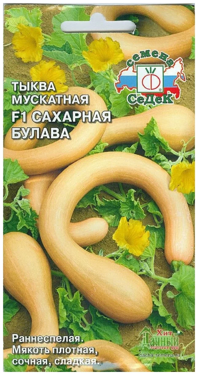 

Тыква Сахарная Булава (Седек)