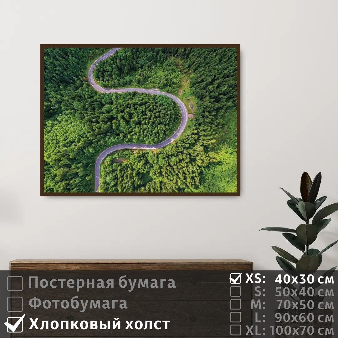 

Постер на холсте ПолиЦентр Вид на дорогу сверху в зеленых тонах 40х30 см, ВидНаДорогуСверхуВЗеленыхТонах