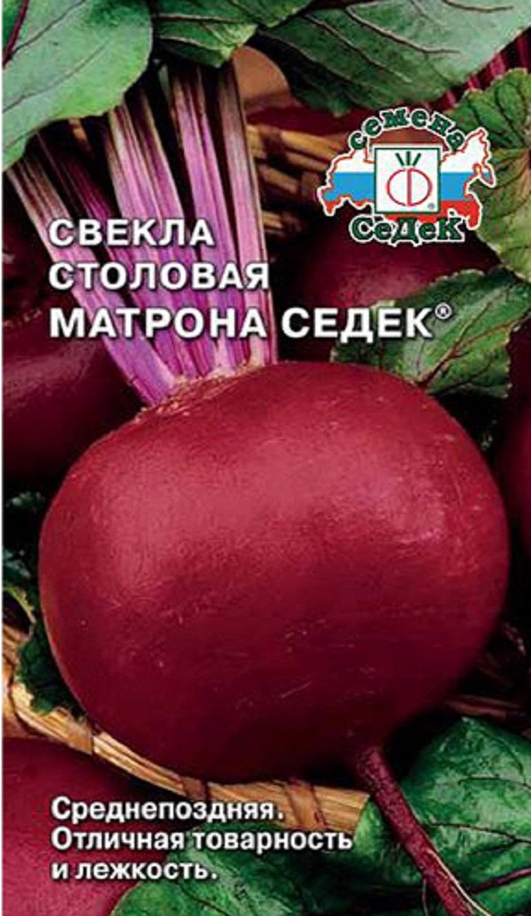 

Свекла Матрона СеДеК 9гр. (2+1) (Седек)