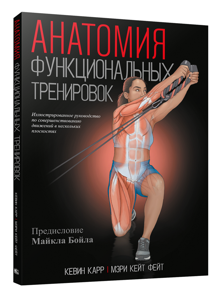 

Анатомия функциональных тренировок, Фитнес и физические упражнения