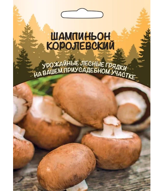 

грибы Шампиньон Королевский (Урал. Дачник)