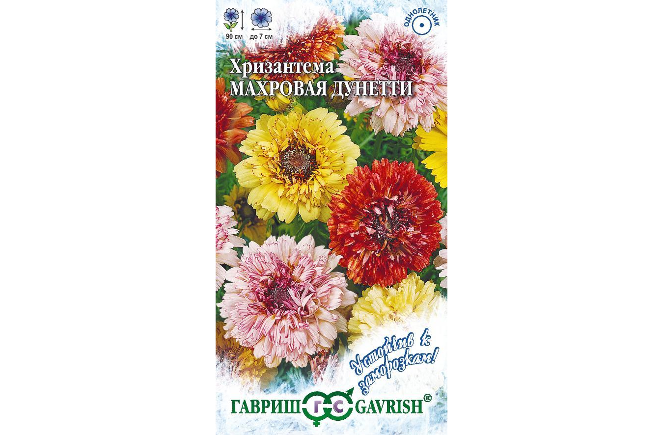 

Хризантема Дунетти (махровая) 0,5 г. серия Устойчив к заморозкам! (Гавриш)