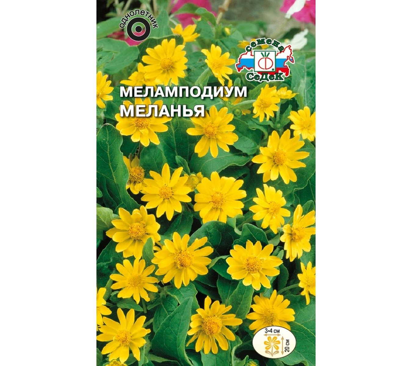 

Меламподиум Меланья 0,1гр. (Седек)