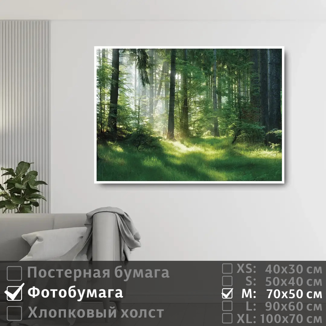 

Постер на фотобумаге ПолиЦентр Солнечные лучи на рассвете в лесу 70х50 см, СолнечныеЛучиНаРассветеВЛесу