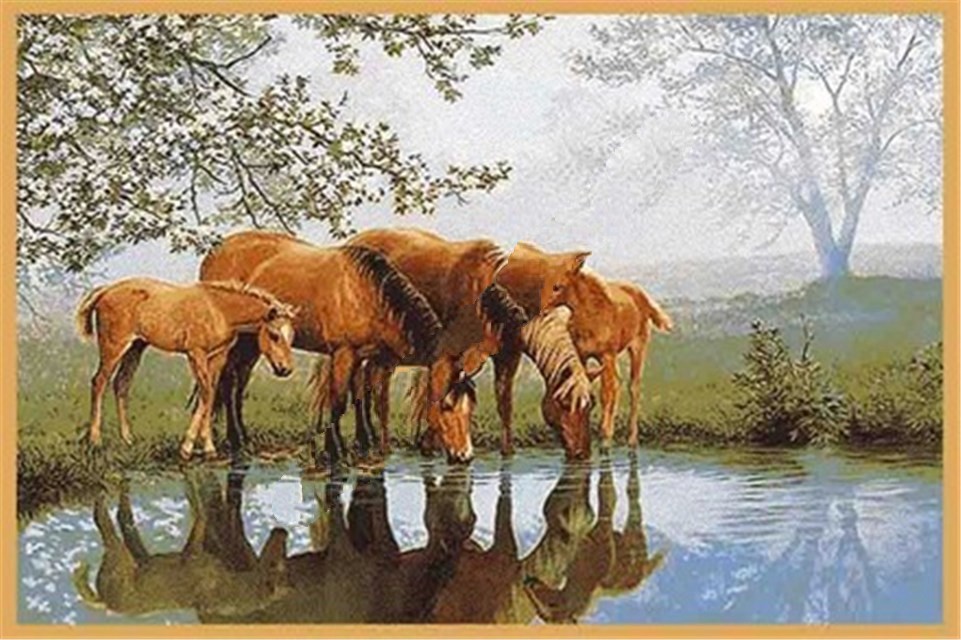 

Erdenet Ковер Hunnu S 6S1027 82 1x1.5м, Hunnu S