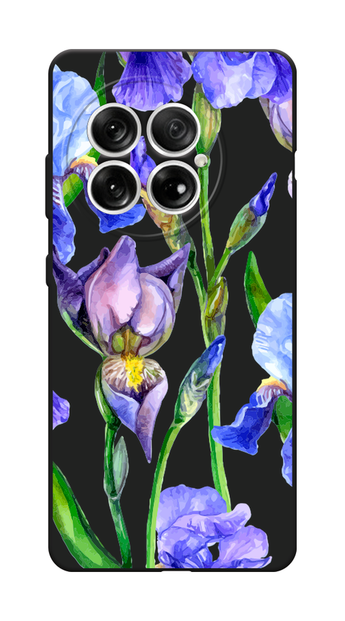 

Чехол Awog на OnePlus 13 "Синие ирисы", Фиолетовый;голубой;зеленый, 155352-1