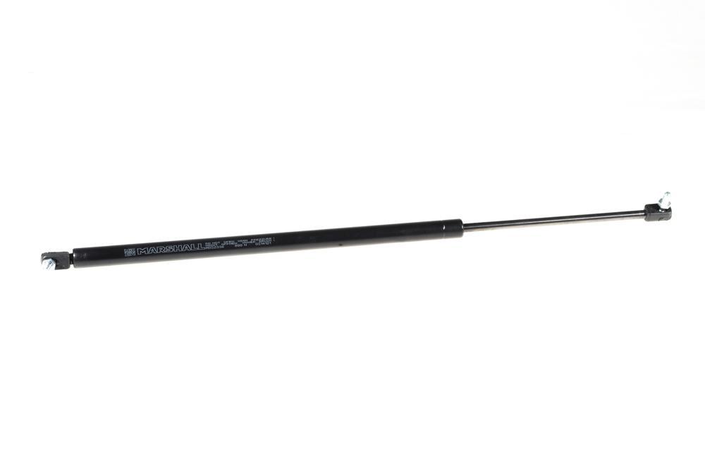 

Амортизатор багажника Chrysler Voyager (2001-2008); OEM 04894554AC