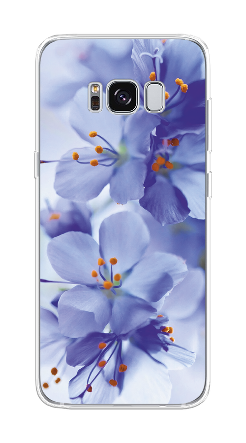

Чехол на Samsung Galaxy S8 "Фиолетовые цветки", Фиолетовый;синий, 24750-1