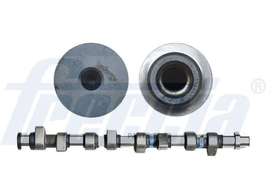 

FRECCIA CM05-2244 Распредвал VAG
