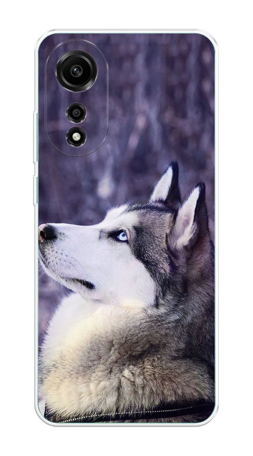 

Чехол на Oppo A78 4G "Хаски 1", Фиолетовый;белый, 2514750-1