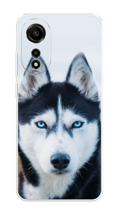 

Чехол на Oppo A78 4G "Хаски 2", Синий;белый, 2514750-1