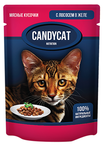 Влажный корм для кошек Candycat, лосось в желе, 24шт по 85г