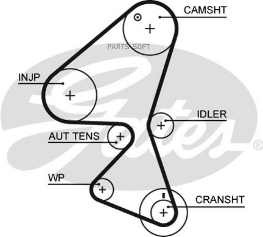 

GATES Ремень ГРМ GATES 5598XS