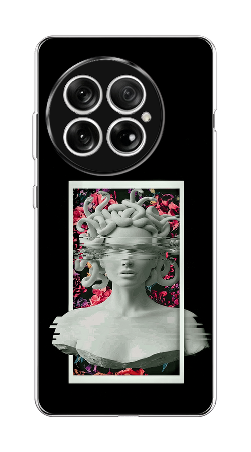 

Чехол на OnePlus 13 Web Punk Медуза Горгона, Черный;серый, 155350-1