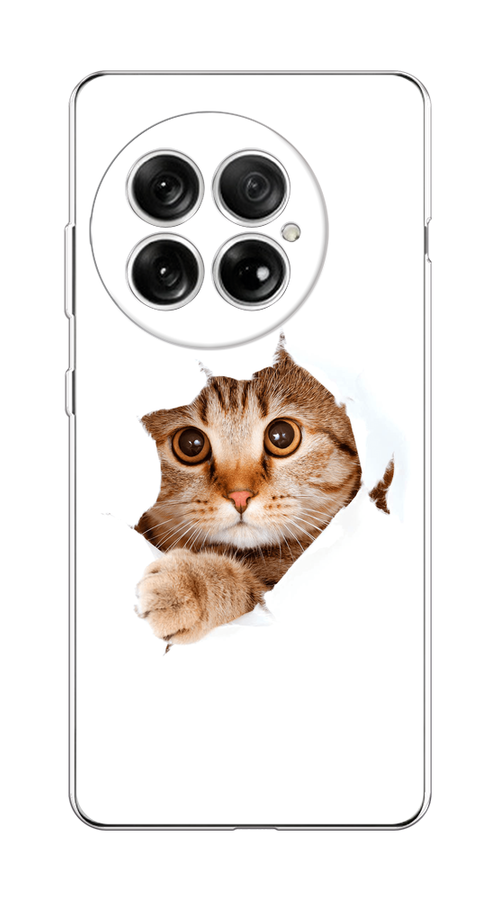 

Чехол на OnePlus 13 Кот и бумага, Белый;коричневый, 155350-1