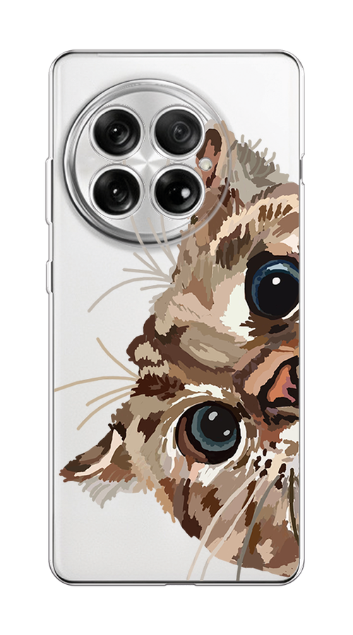 

Чехол на OnePlus 13 Любопытный кот, Коричневый;синий;черный, 155350-1