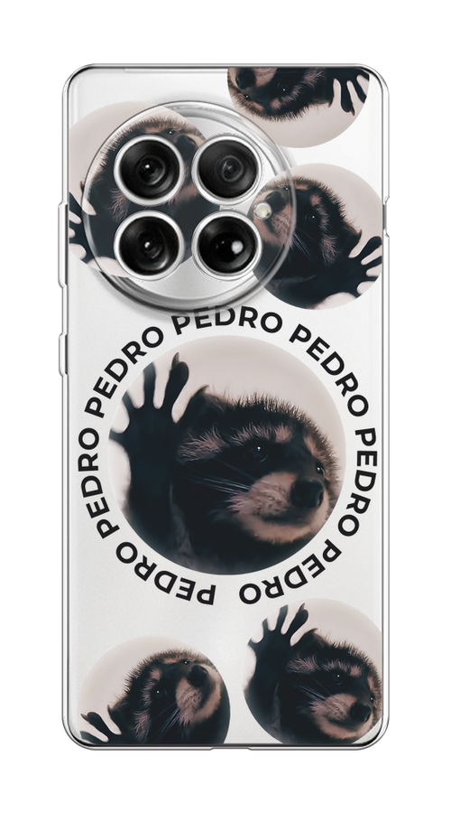 

Чехол на OnePlus 13 Pedro енот, Черный;бежевый;прозрачный, 155350-1