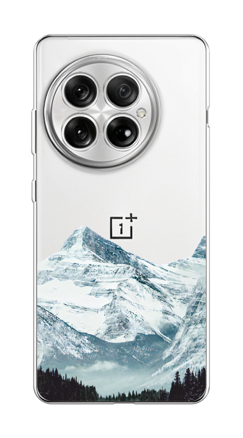 

Чехол на OnePlus 13 Горы арт 1, Белый;зеленый, 155350-1