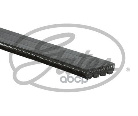 

GATES Ремень поликлиновый GATES 4PK813