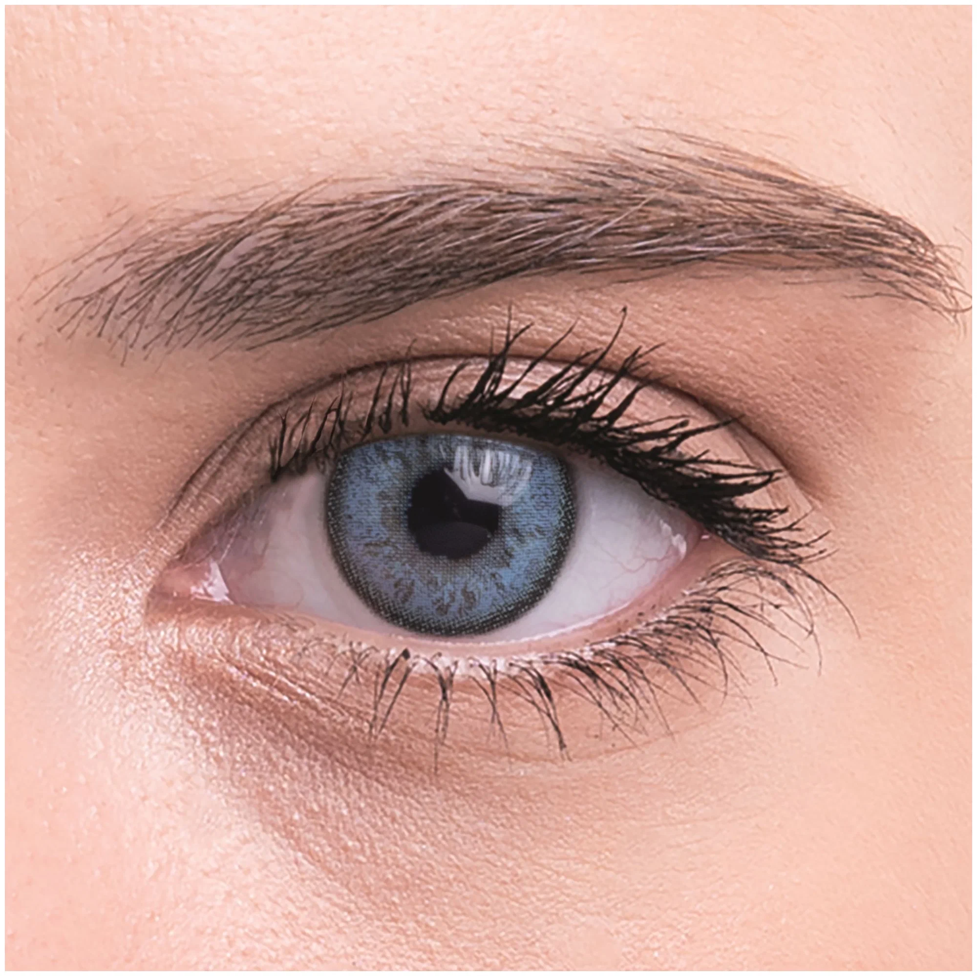 Цветные контактные линзы Bollena Caspian 8,6 -2,50