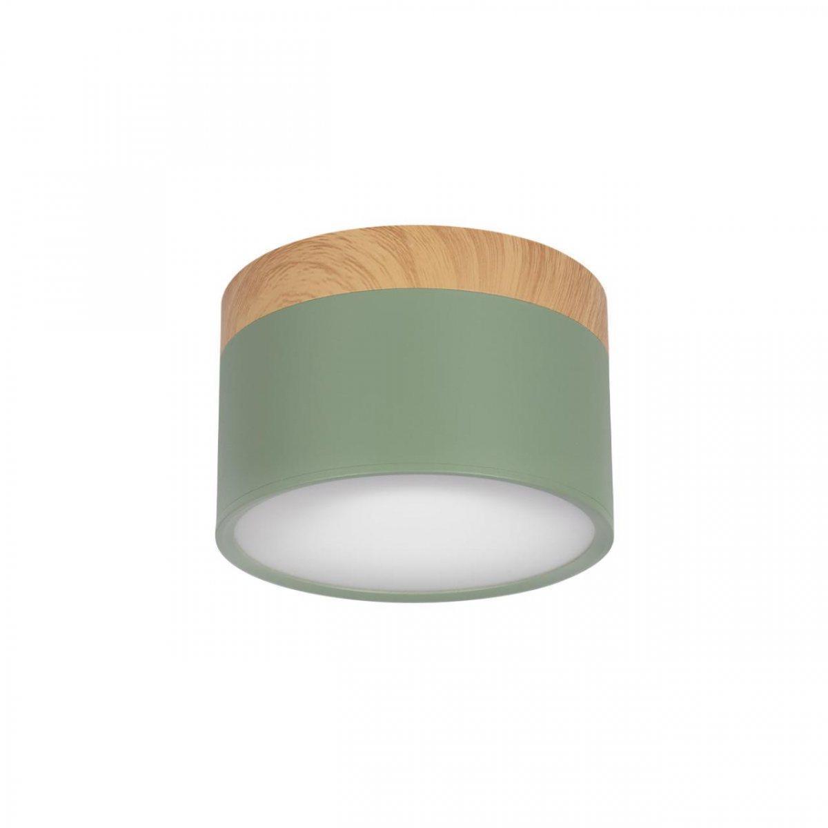 

Накладной светодиодный светильник Loft IT Grape 10162 Green