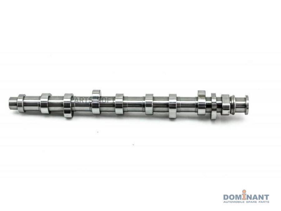 

DOMINANT AW06B01090101AB