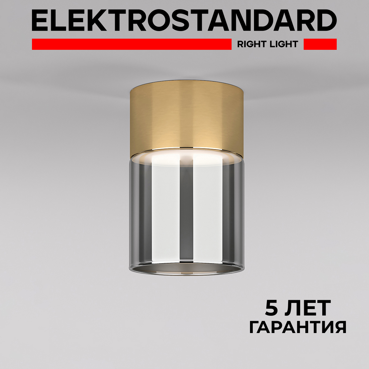 

Потолочный светодиодный светильник Elektrostandard Lumen 25047/LED 4000К латунь/дымчатый