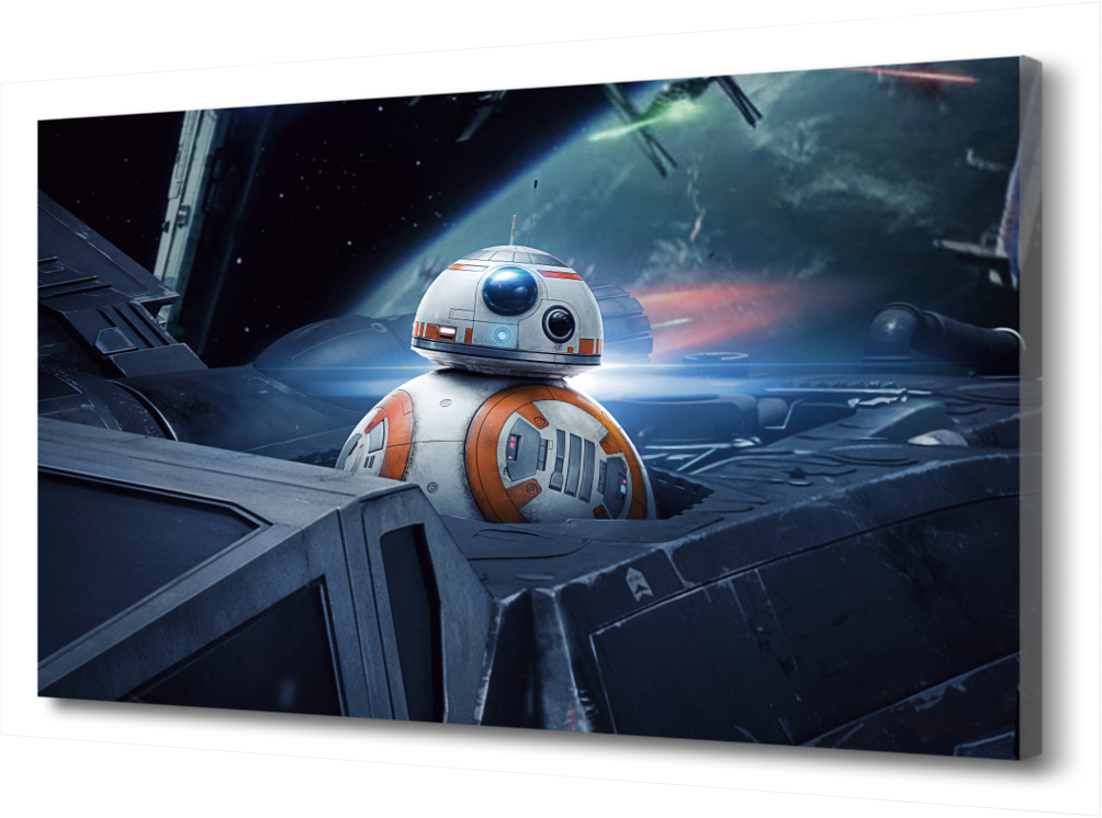 

Картина на холсте BB-8 PRC-829 (90x60см). Натуральный холст