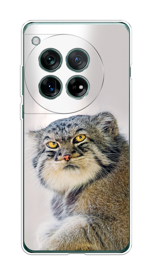 

Чехол на OnePlus 12 "Кот манул 1", Серый;белый;желтый, 154450-1