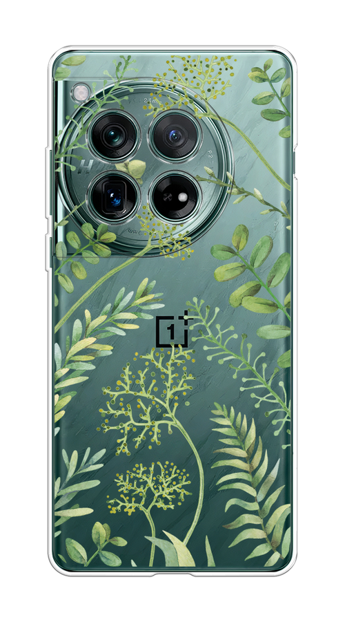 

Чехол на OnePlus 12 "Green Leaves", Зеленый;прозрачный, 154450-1