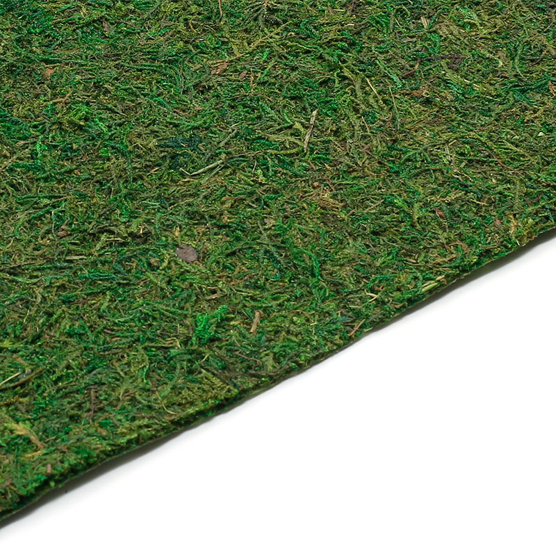 

Мох листовой 30*30*0.5см, Айрис, Зеленый