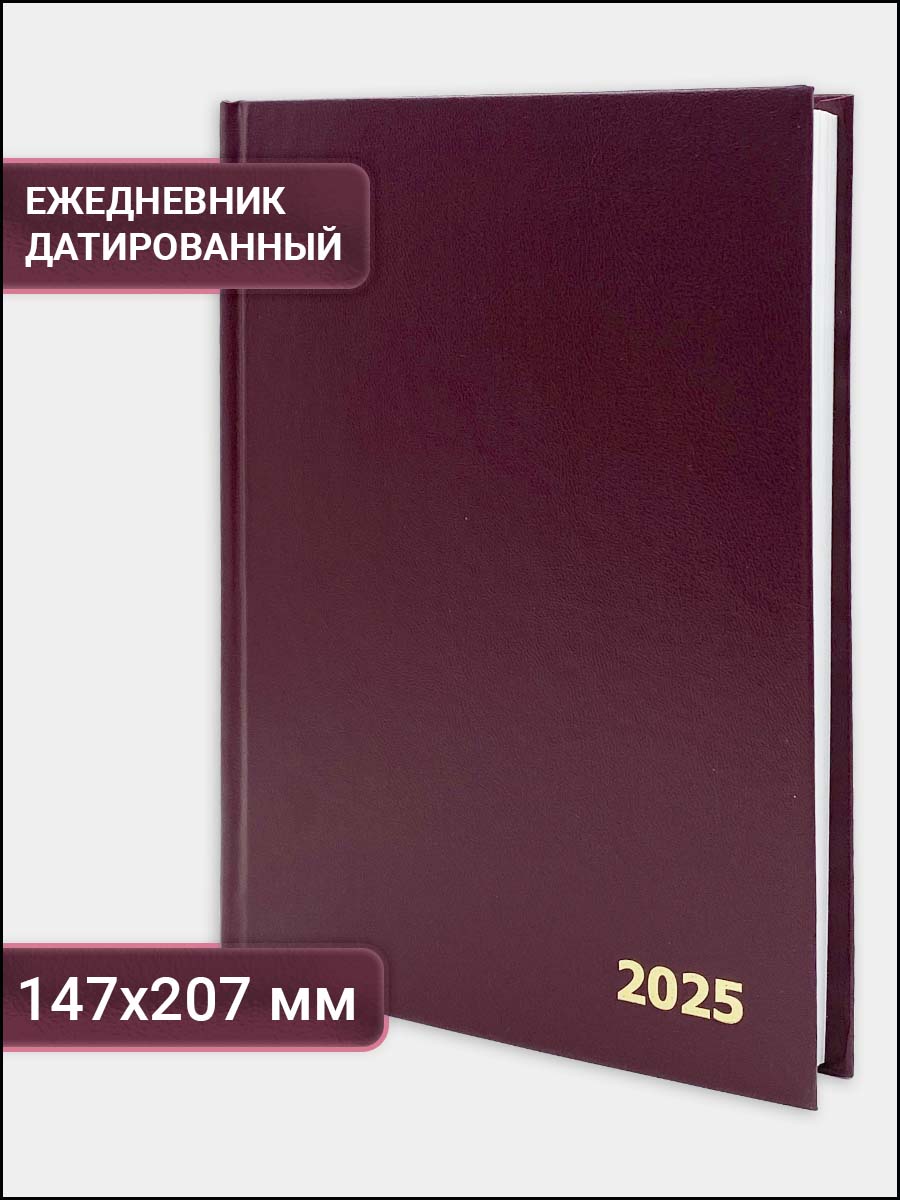 Ежедневник датированный на 2025 год Axler, планер мужской и женский блокнот А5, 168 листов